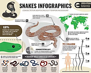 Snakes Reptiles Infographics