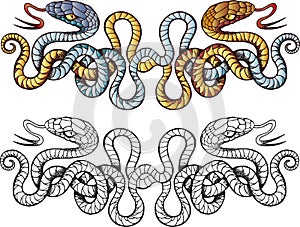Snakes tattoo photo
