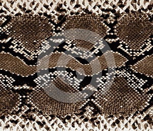Snakeskin background texture. Stylish print. Trendy abstract background. Texture snake