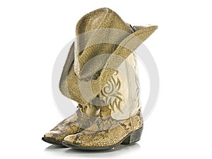 Snakeskin boots and hat isolated