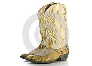 Snakeskin Cowboys Boots