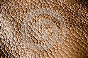 Snakeskin or crocodile texture.