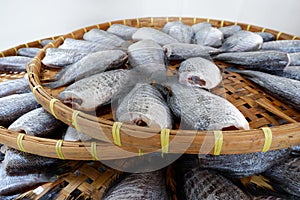 Snakeskin gourami Fish dried