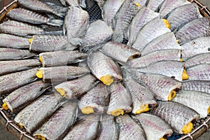 Snakeskin Gourami Fish,Pla Salit fish,Trichogaster pectoralis,dry overlay local cuisine