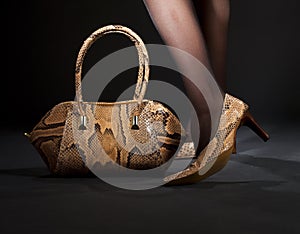 Snakeskin shoes and handbag