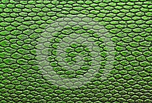 Snakeskin texture leather, as a background