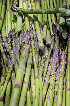 Snapped asparagus photo