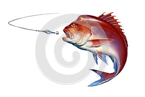 Snapper red big attacks fish bait jigs and stakes on white background isolate realistic illustration.