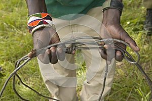 Snaring trap for animals in Tsavo National Park, Kenya, Africa