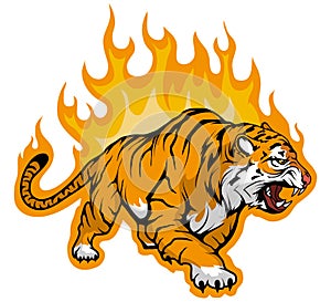 Snarling Bengal tiger on fire,Tiger Mascot.