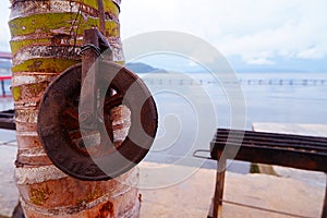 snatch block or pulley block hanging on the tree