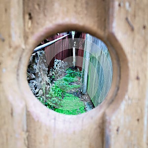 A sneak peek through the hole in the fence