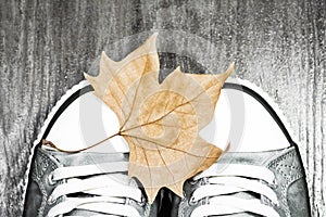 Sneakers with an autumn leaf