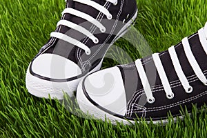 Sneakers close up on a green lawn