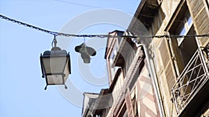 Sneakers are hung on wires. Action. Sneakers hanging from cable wires on background of house and blue sky. Bullies had