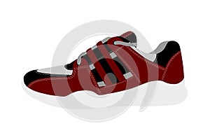 Sneakers in vector on white background.Sneakers vector illustration.