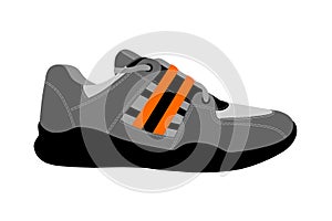 Sneakers in vector on white background.Sneakers vector illustration.