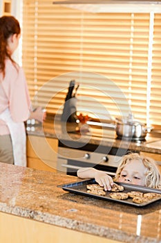 Sneaky boy stealing cookies