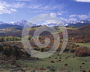 Sneffels Mountain Range, CO