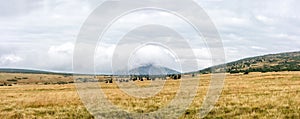 Snezka, Krkonose, border of Poland and Czech Republic. Amazing view for a postcard or calendar. The road through the fields to the