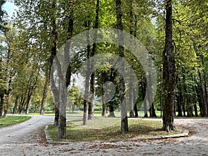 The SneÅ¾nik Castle park - Stari Trg pri Lozu, Slovenia / Park ob gradu SneÅ¾nik ali Grajski park SneÅ¾nik - Stari Trg pri LoÅ¾u