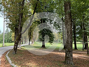 The SneÅ¾nik Castle park - Stari Trg pri Lozu, Slovenia / Park ob gradu SneÅ¾nik ali Grajski park SneÅ¾nik - Stari Trg pri LoÅ¾u