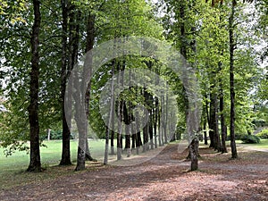 The SneÅ¾nik Castle park - Stari Trg pri Lozu, Slovenia / Park ob gradu SneÅ¾nik ali Grajski park SneÅ¾nik - Stari Trg pri LoÅ¾u