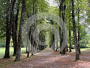 The SneÅ¾nik Castle park - Stari Trg pri Lozu, Slovenia / Park ob gradu SneÅ¾nik ali Grajski park SneÅ¾nik - Stari Trg pri LoÅ¾u