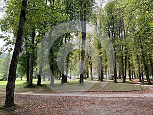 The SneÅ¾nik Castle park - Stari Trg pri Lozu, Slovenia / Park ob gradu SneÅ¾nik ali Grajski park SneÅ¾nik - Stari Trg pri LoÅ¾u