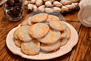 Snickerdoodle cookies