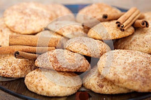 Snickerdoodle cookies with cinnamon