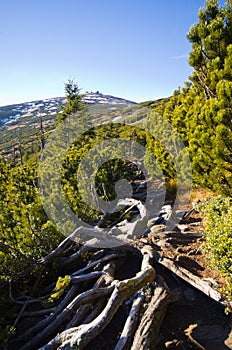 Sniezka peak in Karkonosze mountains - Poland