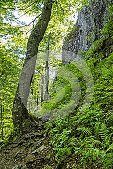 Sninsky Kamen hill, Vihorlat mountains, East Slovakia