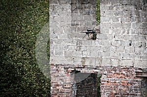 Sniper aiming on his target