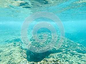 Snokeling in kulailai bay oahu hawaii west coast