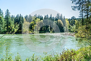 Snoqualmie River And Trees 2