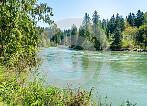Snoqualmie River And Trees 3
