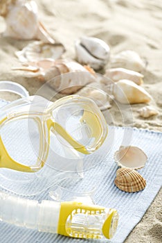 Snorkel mask and shells