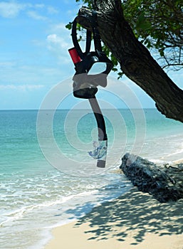 Snorkel & Mask on Tree