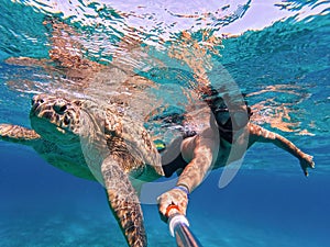 Snorkel swim with green sea turtle, Marsa Alam, Egypt