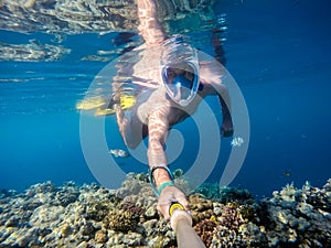 Snorkel swim in shallow water with coral fish, Red Sea, Egypt