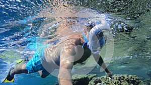 Snorkel swim in underwater exotic tropics paradise