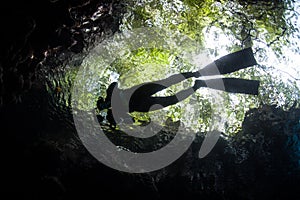 Snorkeler and Dark, Underwater Grotto