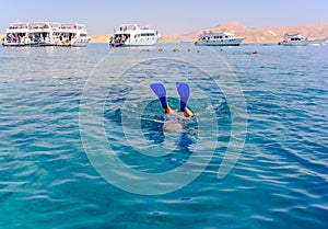 Snorkeler diving below the sea