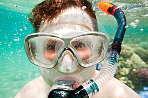 Snorkeler. Red sea