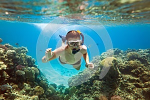 Snorkeler. Red sea