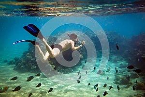 Snorkeler. Red sea