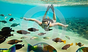 Snorkeler. Red sea