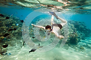 Snorkeler. Red sea