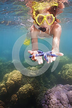 Snorkeler showing blue starfish